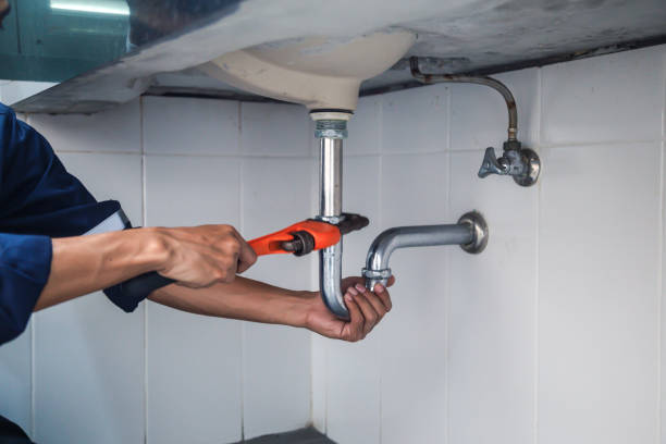 Best Same-Day Plumbing Service  in Enterprise, NV